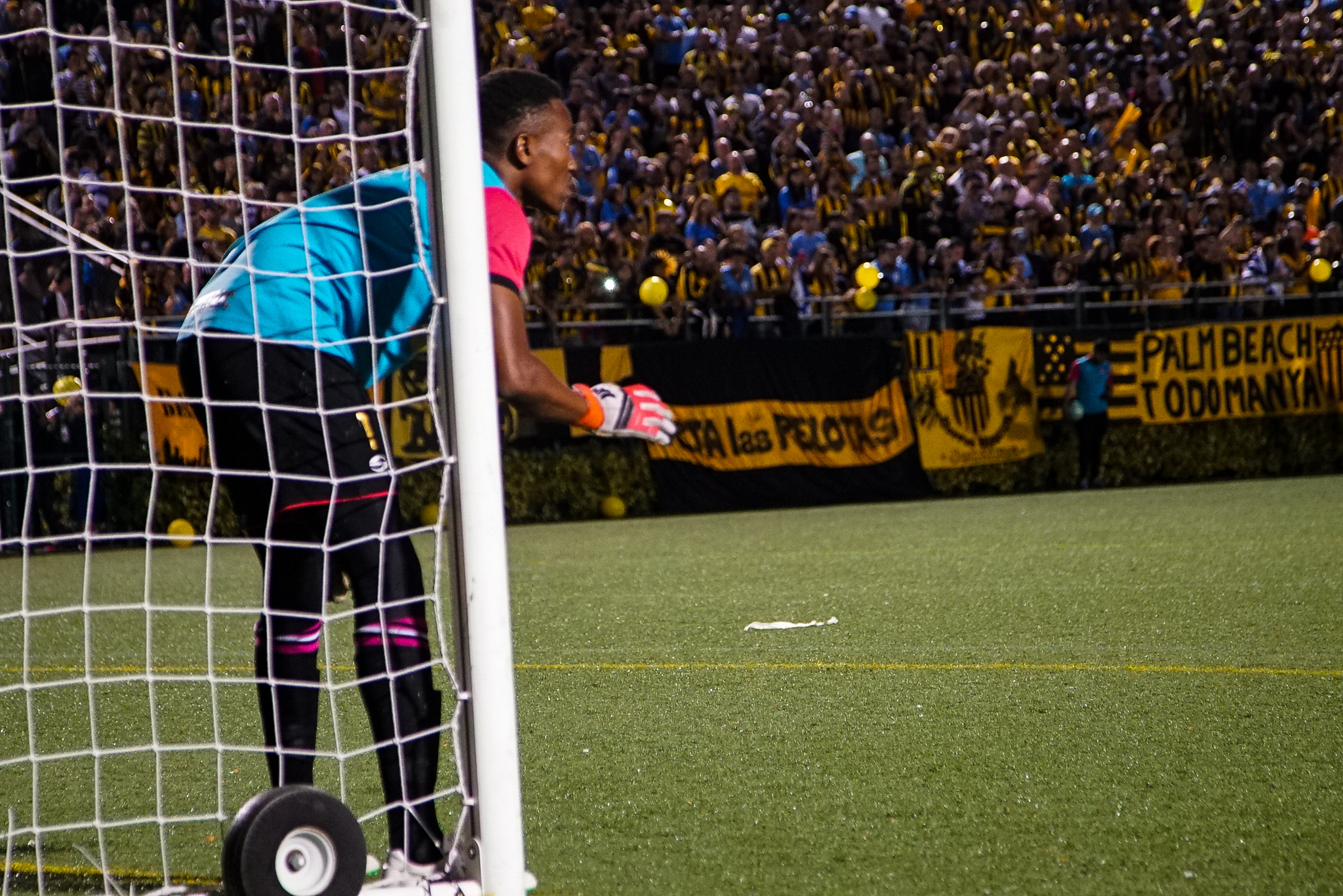 Goalie in action