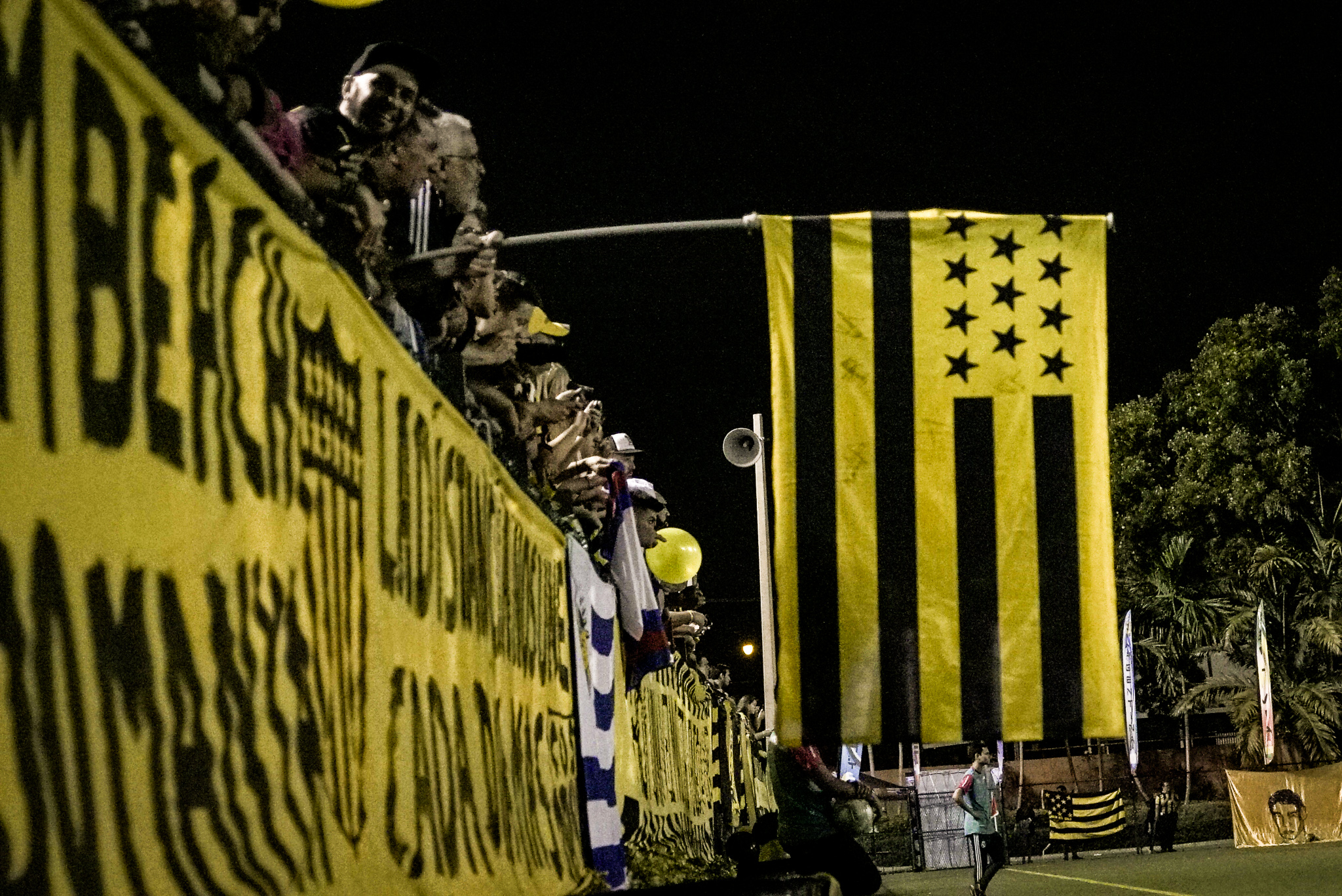 Salute the flag